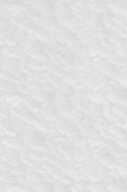 Фото для Панель ПВХ ламинированная 0,25х2,7м Зефир белый