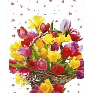 0hl7294zg996ywq76atsxaj0906agt02