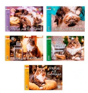 Фото для АЛЬБОМ ДЛЯ РИСОВАНИЯ НА ГРЕБНЕ 24 ЛИСТА "КОТ БОРИС" 