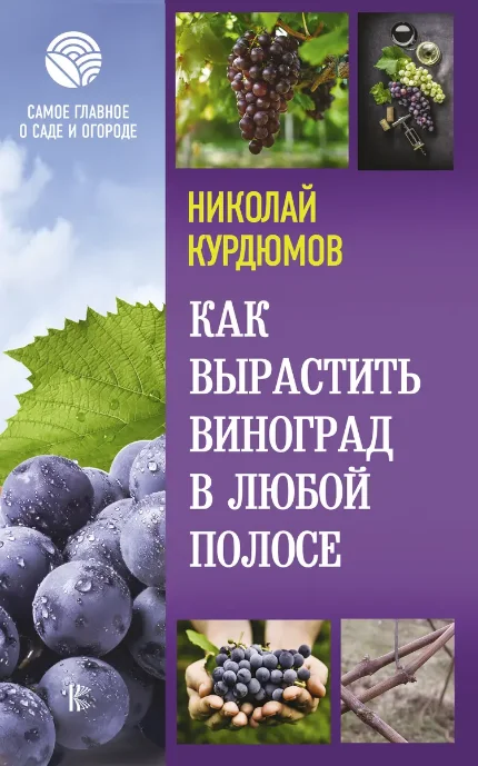 Фото для Как вырастить виноград в любой полосе