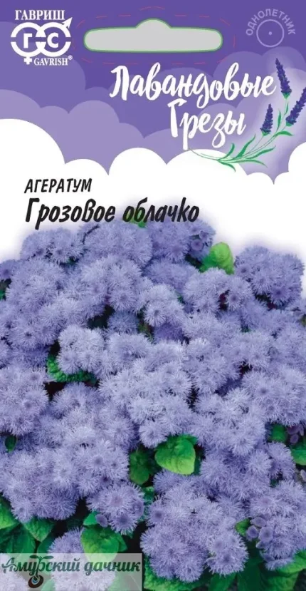 Фото для ЦВЦ Агератум Грозовое облачко" Г"/20
