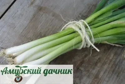 cv3j4q78wir2mpb07372vcew37ymos0l