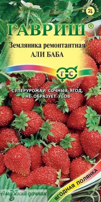 Фото для ЦВП Земл-клуб. Али Баба, ремонтант, сочная, без усов 0,03г. "Г"/20