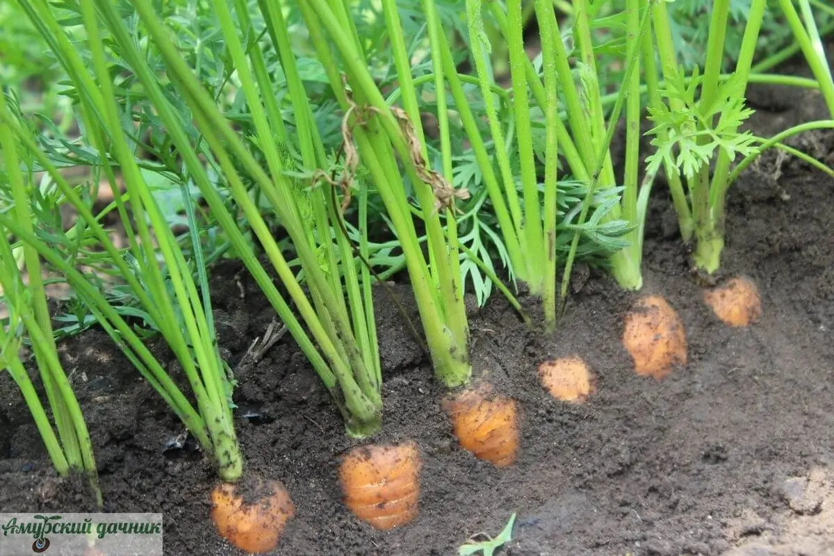 7385631bfb7f086b8a16be9e7cdeb436