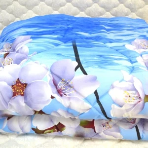 14c9ce75-94fc-11ef-97ee-ac1f6bbd4673_9afec408-94fe-11ef-97ee-ac1f6bbd4673.resize2