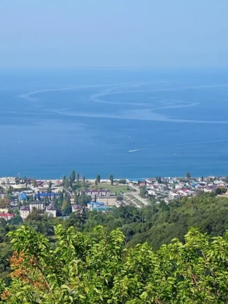 Туры в Абхазию