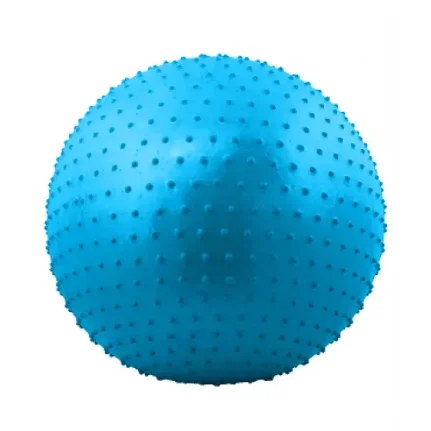 Фото для Мяч гимнастический массажный (55 см, антивзрыв)