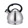 Фото для Чайник WILLMARK WТK-4221SS1/12 со СВИСТКОМ Матовый (3,5л)