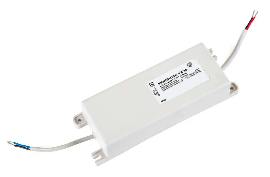 istochnikpitaniyamollyusk121012v10a