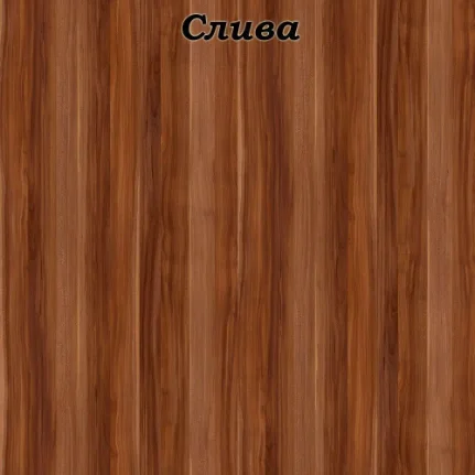 sliva