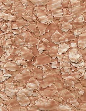 Флоковые покрытия для стен и полов: Вытертые флоки «Champetre»