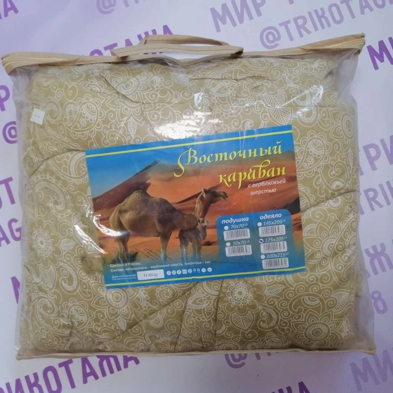 ig75g6z4877oam74rsn5is4lsc62ns11