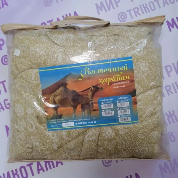 ig75g6z4877oam74rsn5is4lsc62ns11