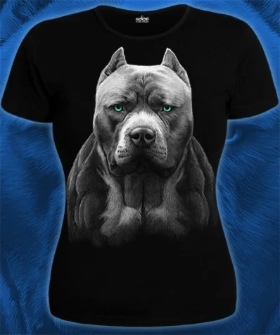 7gv2r9sp9ua00likbq5t1v7q5joz1aar