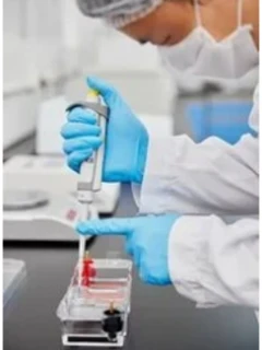 Анализ крови онкомаркеры на рак яичника, эндометрия НЕ4, ИФА