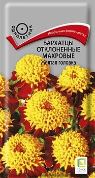 ef5bdac5e0d111ee832dd85ed377b6fa_ef5bdac6e0d111ee832dd85ed377b6fa