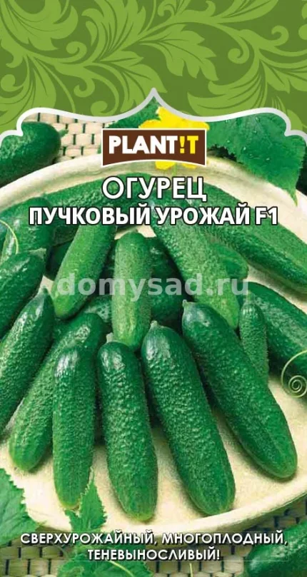 Фото для ог.Пучковый Урожай F1 корнишон (PLANT!T) Ц