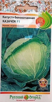 Фото для Капуста б/к Казачок F1 (0,25г)