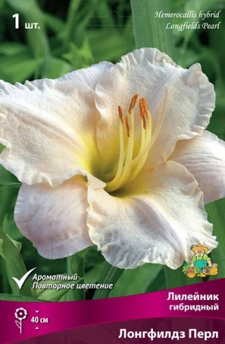 eb2dfb96d9db11ed8293d85ed377b6fa_4469e6ca0d8311ef8334d85ed377b6fa