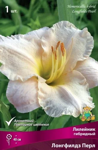 eb2dfb96d9db11ed8293d85ed377b6fa_4469e6ca0d8311ef8334d85ed377b6fa