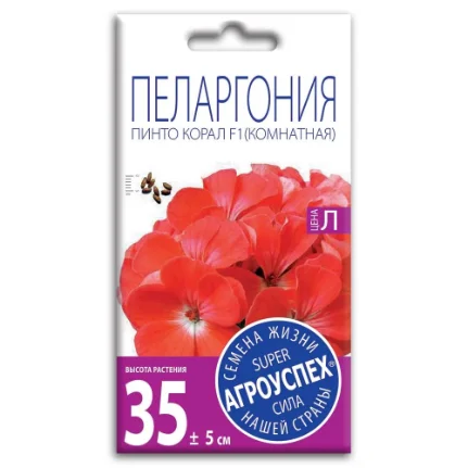 Фото для Пеларгония Пинто Корал F1, семена Агроуспех 4шт