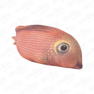 Фото для Игрушка-антистресс мягкая рыба Коле Тан 23см