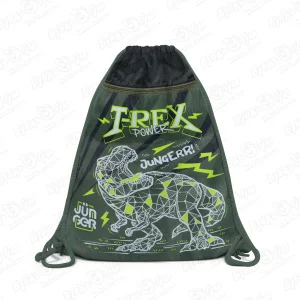 Мешок для обуви JUNGER T-rex с рисунком динозавр черно-зеленый