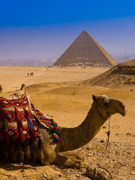 Туры в Египет из Москвы на 2025 г