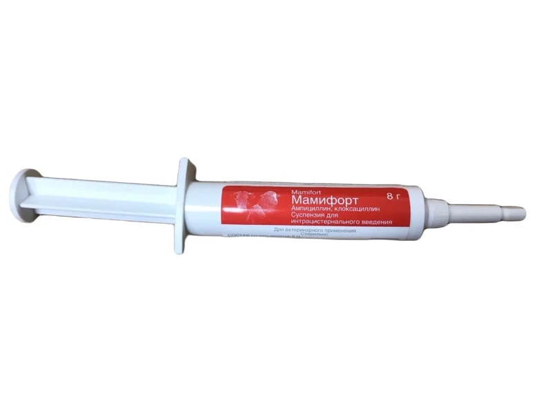 Фото для Мамифорт шприц